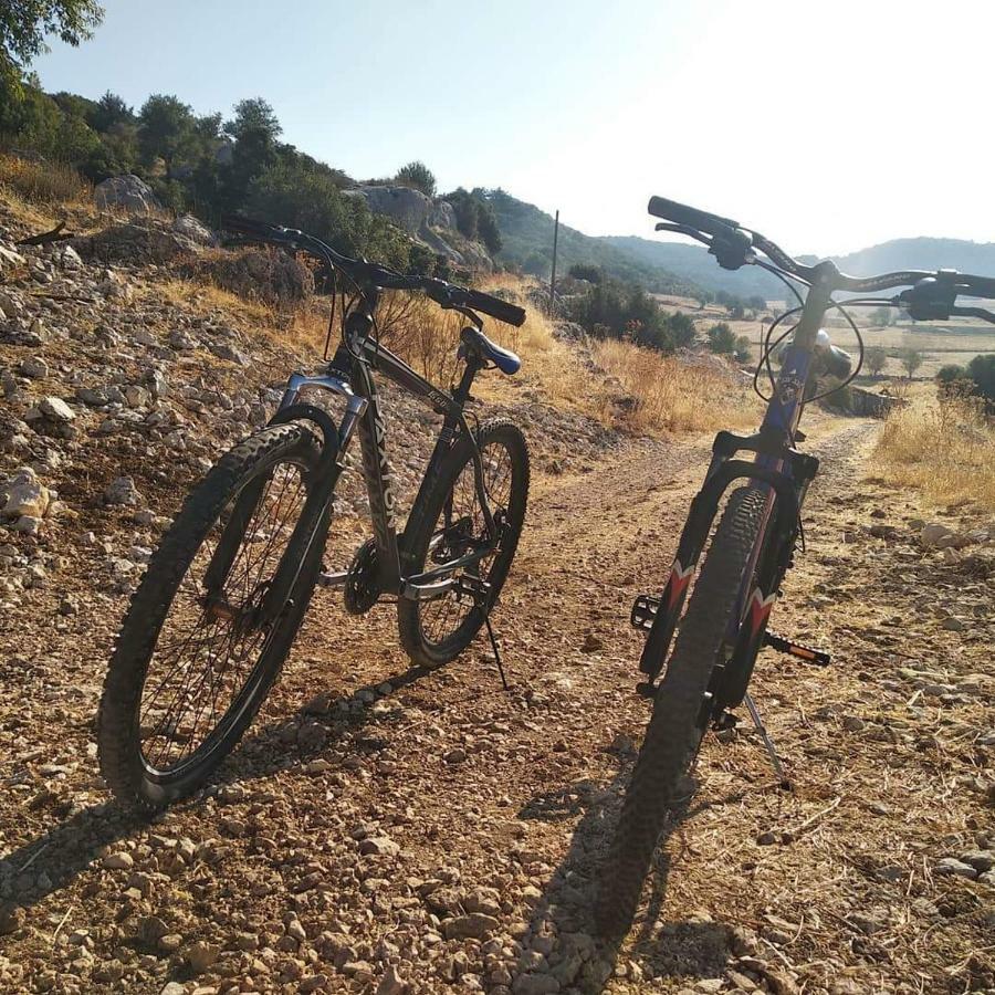 Likya Sup Apart Kaş Exteriör bild